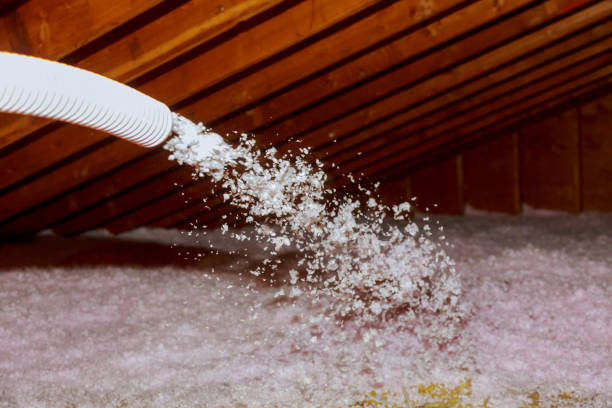 Types of Insulation We Offer in Bellwood, IL